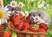 Strawberry Dessert, Elena Eremina