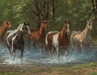 Summer Creek, Chris Cummings