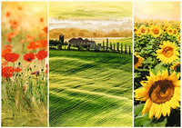 Toscane ensoleillé