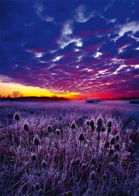 Sunrise, Phil Koch