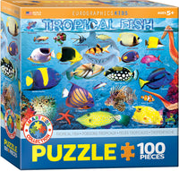 Tropical Fish
