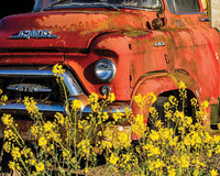 Truck rouge, Chuck Haney