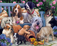 Dogs on a Bench- JigsawJungle.com