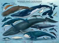 Baleines et dauphins (baleines et dauphins) (1000pcs)