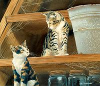 What's Next?, Susan Bourdet