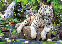 White Tigers, Howard Robinson