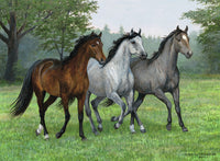 Ravensburger Wild Trifecta, Persis Clayton Weirs