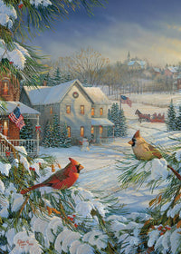 Cardinals d'hiver de Ravensburger, Sam Timm