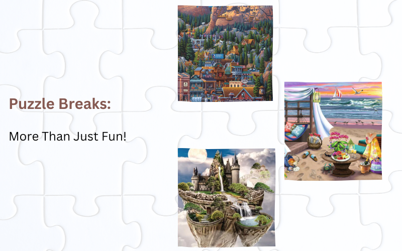 Puzzle Store