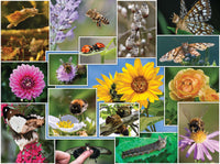 Cats Are Everywhere - Cats & Flowers (1000pcs)