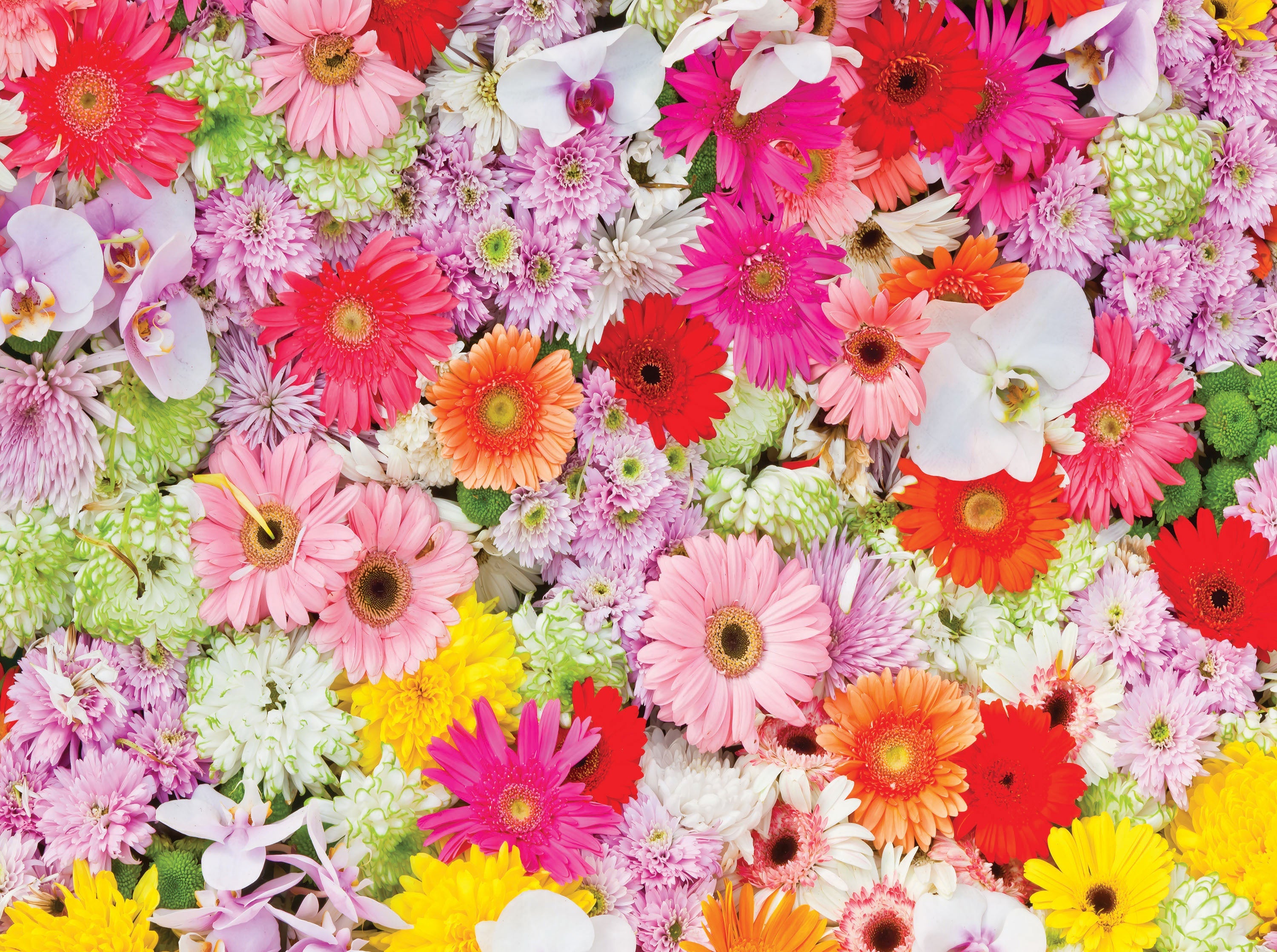 PFG Colorful World - The Colorful Flowers (750pcs) (Usage/Used - PUZZLES FOR GOOD)