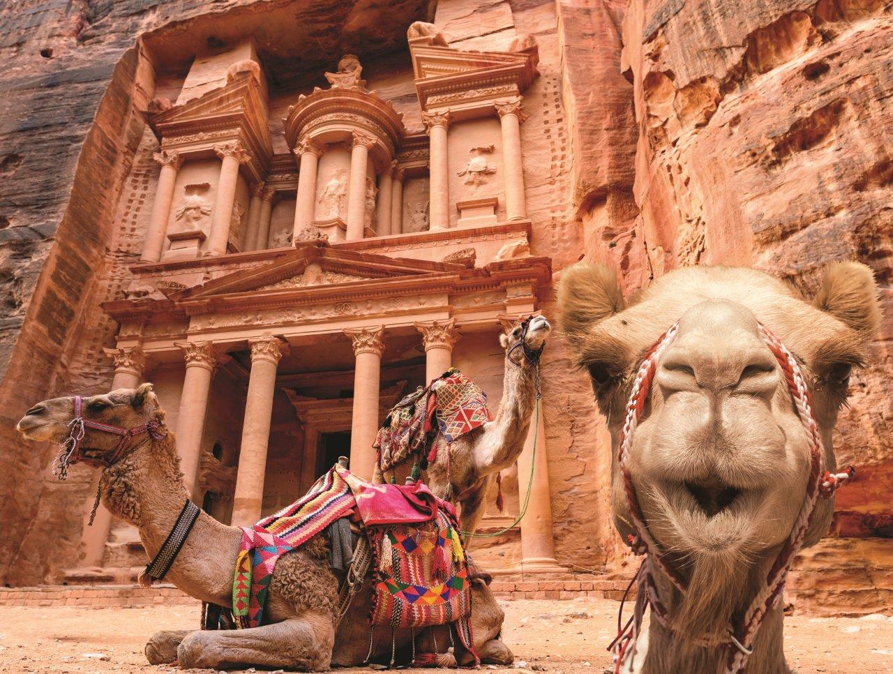 Family Time - Camel (200pcs)