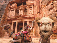 Family Time - Camel (200pcs)