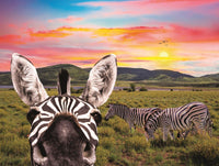 Temps de famille - Zebra (200pcs)