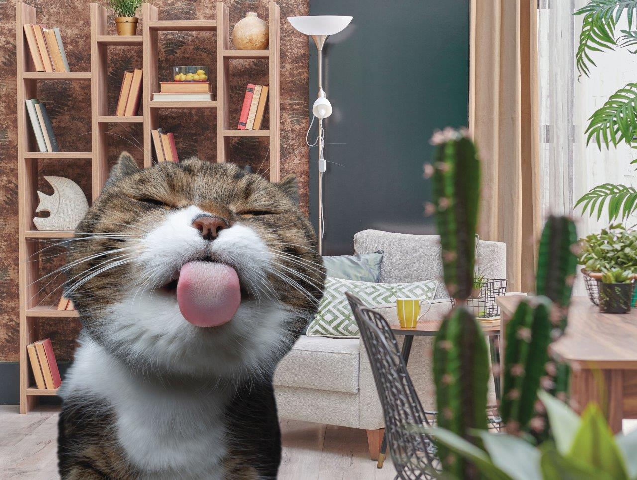 Family Time - Licking Cat (200pcs)