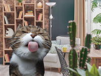 Temps de famille - Licking Cat (200pcs)