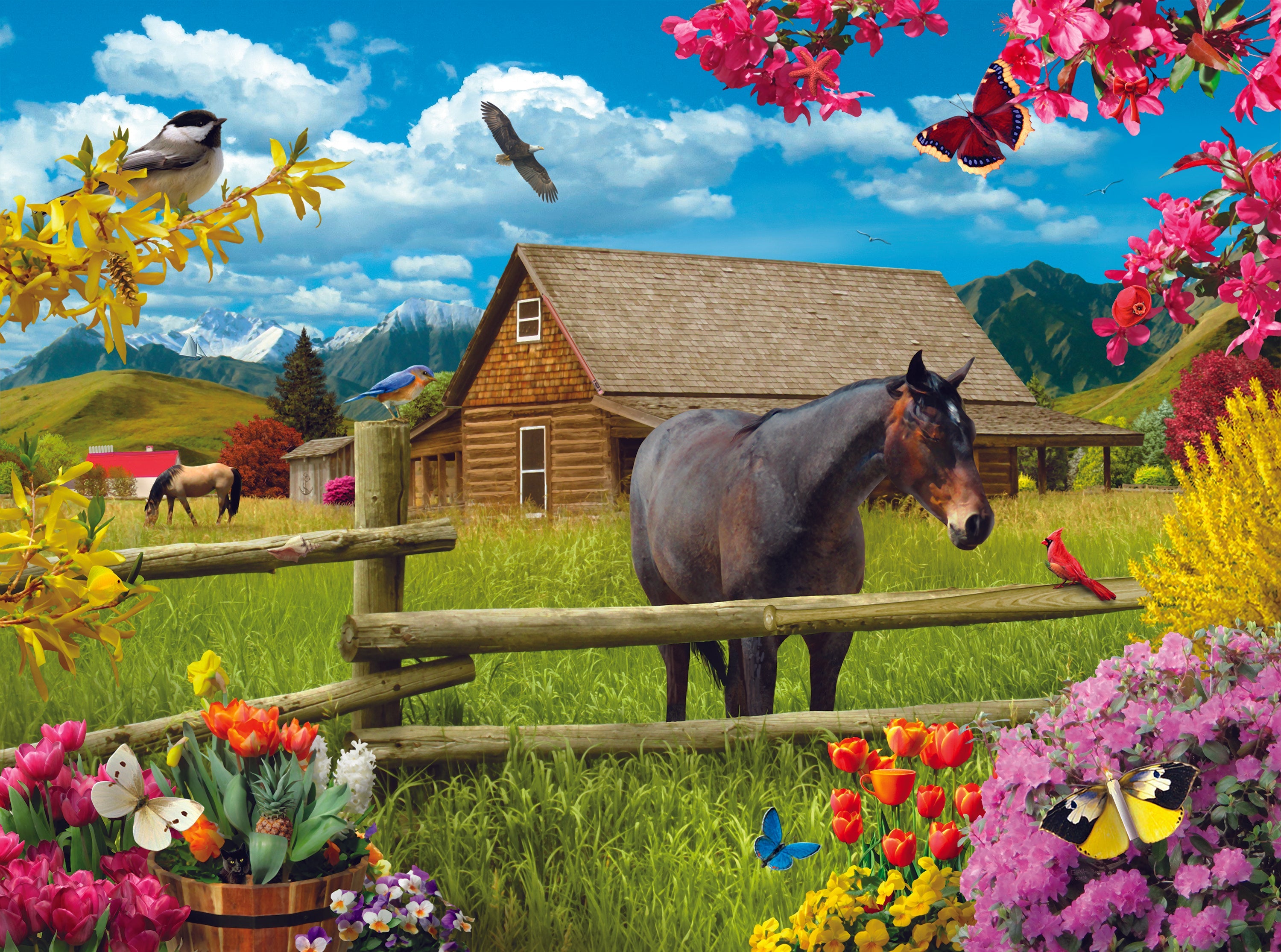 DMG Dr. Puzzle - Springtime On The Range, Alan Giana (1000pcs) (DAMAGED BOX)