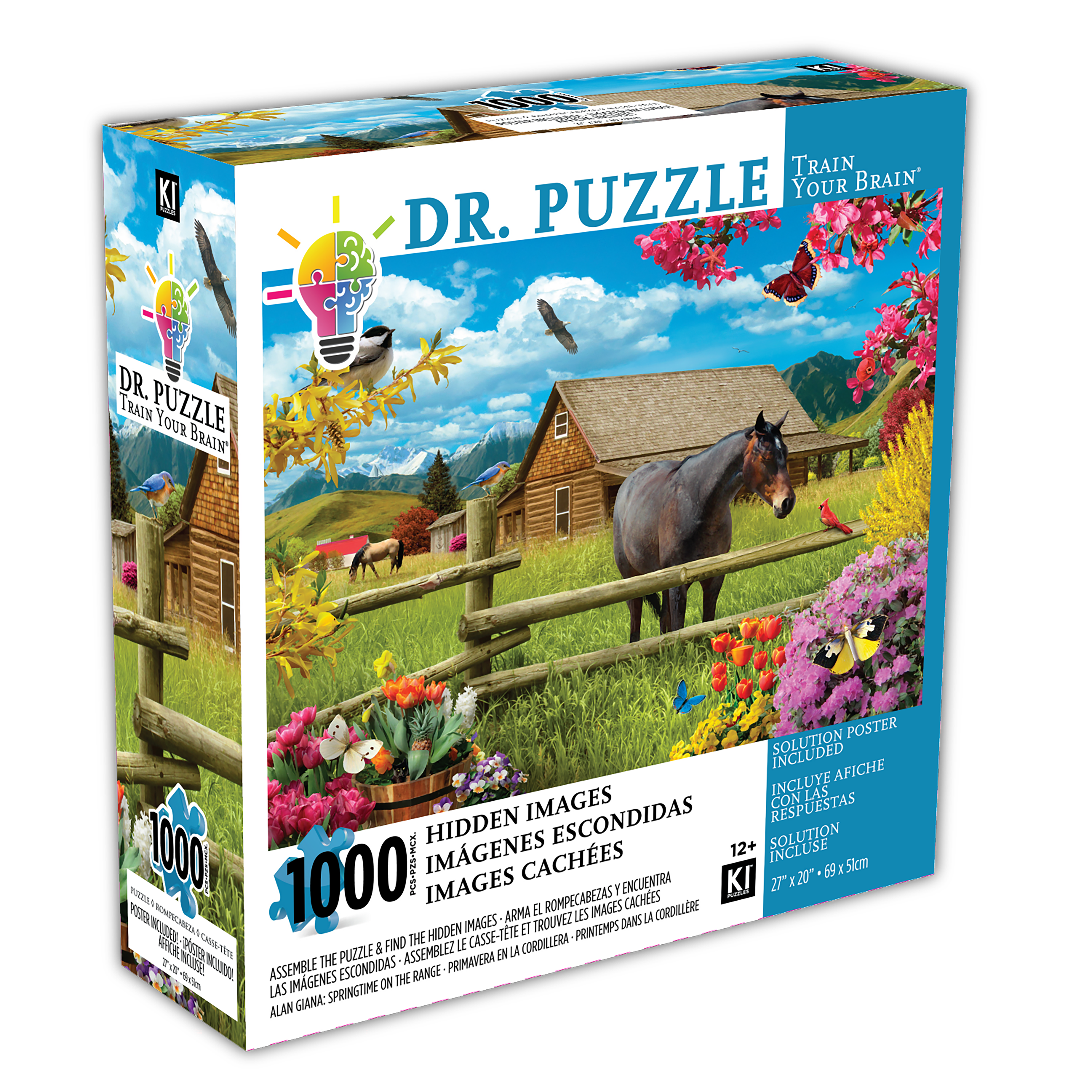 DMG Dr. Puzzle - Springtime On The Range, Alan Giana (1000pcs) (DAMAGED BOX)