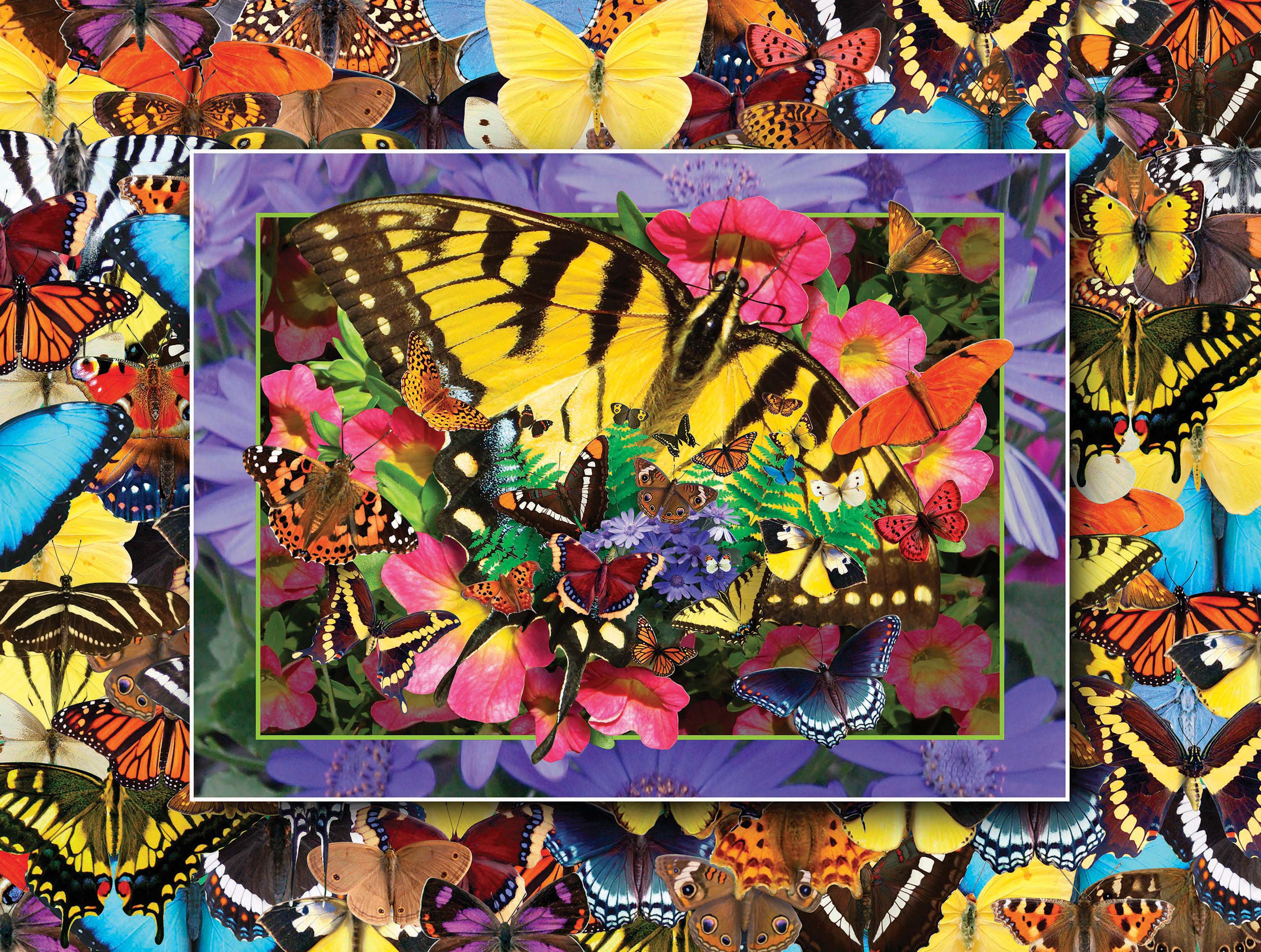 PFG Flights of Fancy - Butterfly Heaven I (550pcs) (Usage/Used - PUZZLES FOR GOOD)