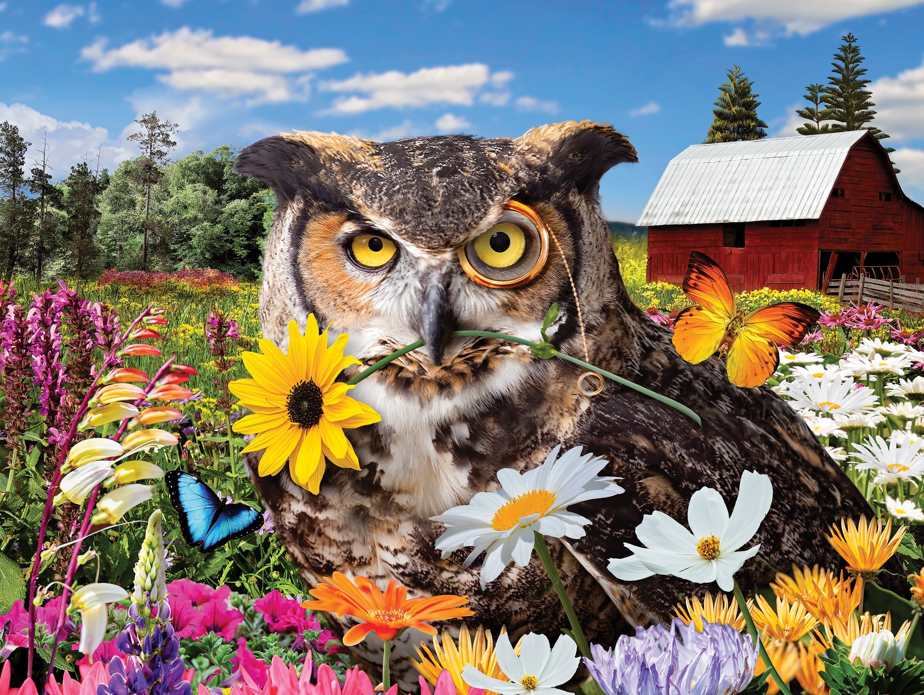 PFG Flights of Fancy - Owl Flower Fiesta, Karen Burke (550pcs) (Usage/Used - PUZZLES FOR GOOD)