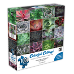 Collage coloré DMG - plantes succulentes (1000 pc) (boîte endommagée)