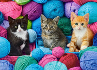 Chatons dans le magasin de fils (300pcs)