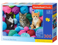 Chatons dans le magasin de fils (300pcs)