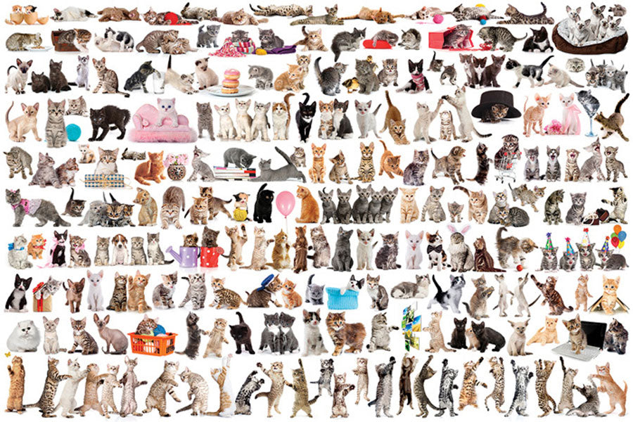 PFG The World of Cats (1000pcs) (Usage/Used - PUZZLES FOR GOOD)
