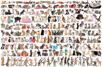 PFG le monde des chats (1000pcs) (utilisation / utilisée - puzzles pour de bon)