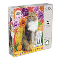 Contemporary Collection - Raja (300pcs)