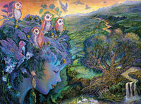 DMG Un parlement des hiboux, mur de joséphine (édition glitter) (1000pcs) (boîte endommagée)