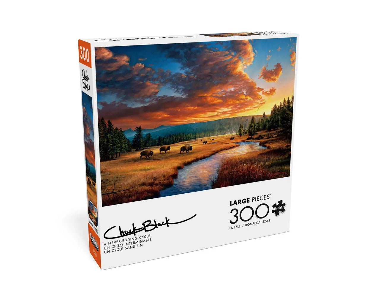 PFG Un cycle sans fin (300 pièces) (Usage/Occasion - PUZZLES FOR GOOD) 