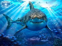 Discovery Shark Week - Great White Shark (Puzzle 3D) (500pcs)