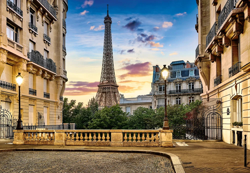 Walk in Paris at Sunset	 (1000pcs)