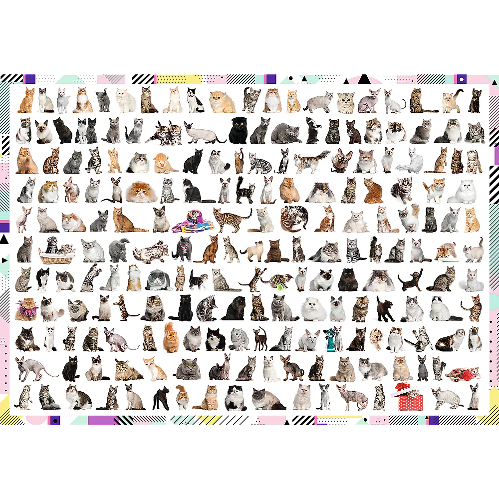 DMG 208 Cats (1000pcs) (VERY DAMAGED BOX)