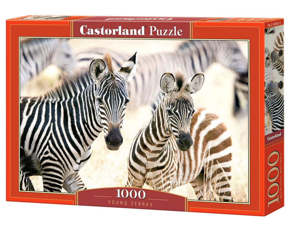 Young Zebras (1000pcs)