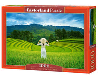 Rice Fields in Vietnam	(1000pcs)