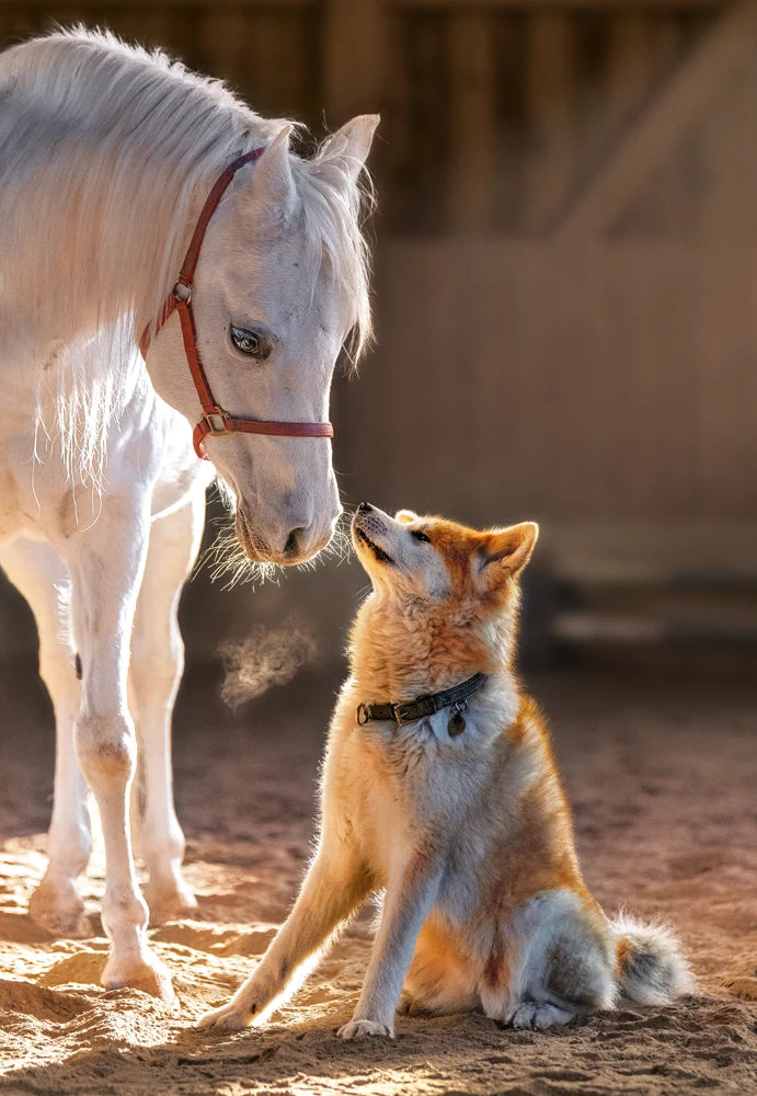 Unique Friendship (1000pcs)