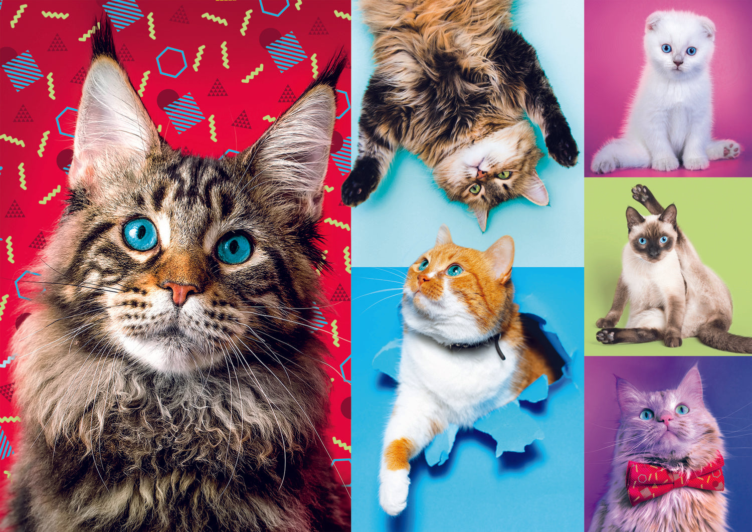 PFG Happy Cats (Usage/Used - PUZZLES FOR GOOD)