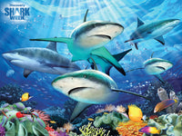 Discovery - Shark Week - Shark Reef, Howard Robinson (Puzzle 3D) (100pcs)