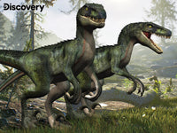 Discovery - Velociraptor (puzzle 3D) (100pcs)