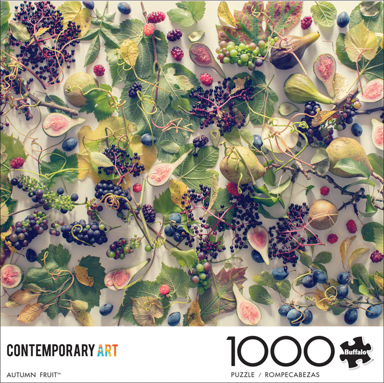 PFG Contemporary Collection: Autumn Fruit (Usage/Used - PUZZLES FOR GOOD)