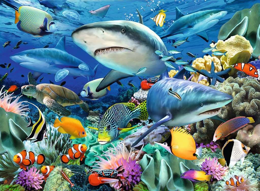 Ravensburger Shark Reef (100XXL)