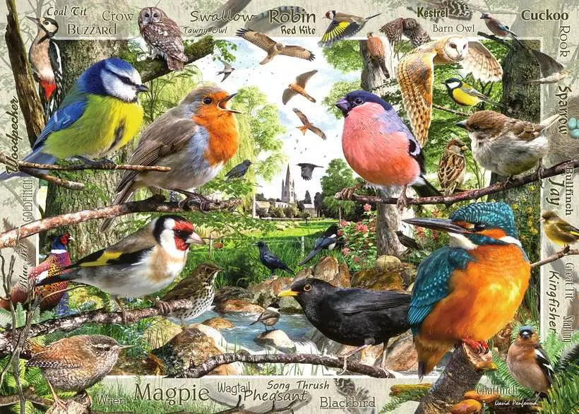 Ravensburger Our Feathered Friends (1000pcs)