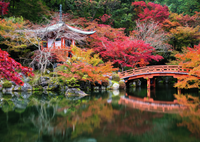 Ravensburger Exclusive - Beautiful Gardens - Daigo-ji, Kyoto, Japan (1000pcs)