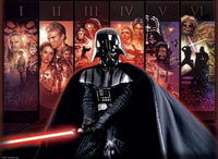 PFG Ravensburger Star Wars Saga (utilisation / utilisée - puzzles pour de bon)