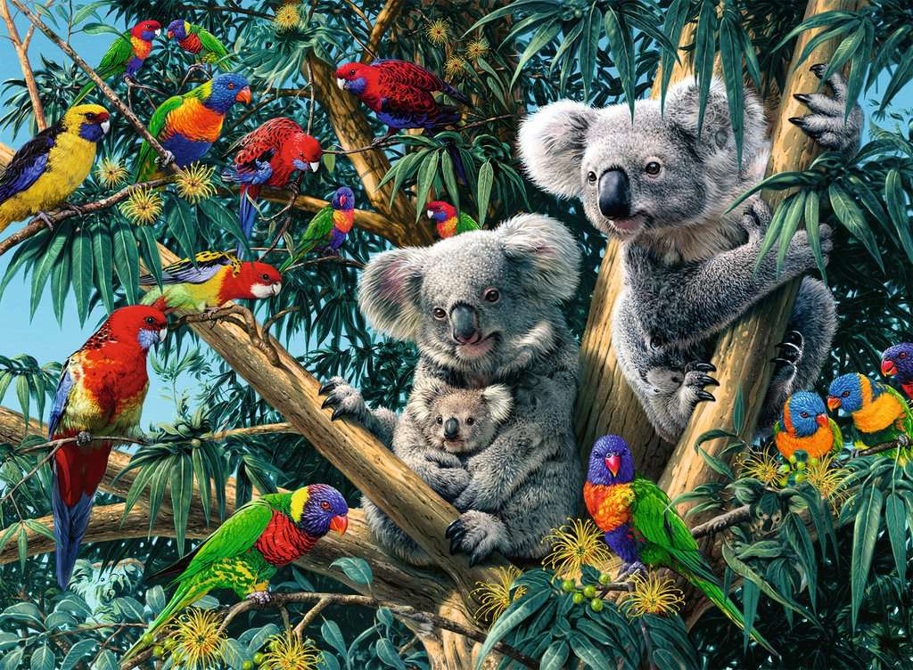 DMG Ravensburger Koalas In A Tree (500pcs) (DAMAGED BOX)