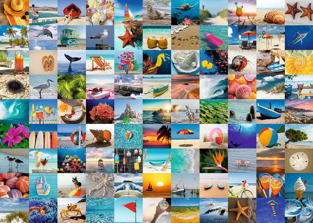 PFG Ravensburger 99 Seaside Moments (1000pcs) (Usage/Used - PUZZLES FOR GOOD)
