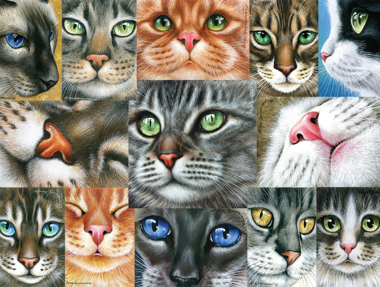 Chats - Gros plan des chats (750pcs)