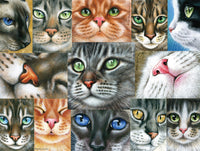 Cats - Cats Close-up (750pcs)